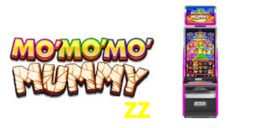 7zz bet